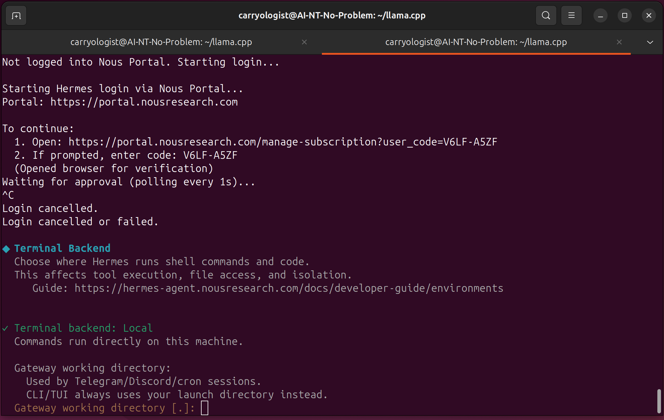 The Portal login flow — Ctrl+C is the only way out