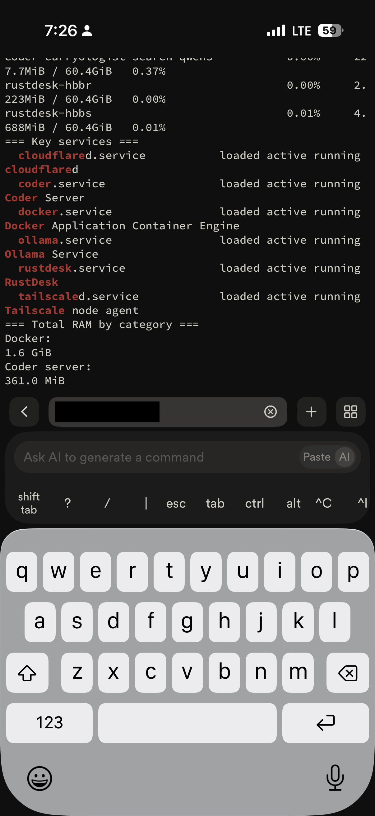 Capacity diagnostics via Termius on iPhone — Docker stats, RAM breakdown, and service status from a hotel room