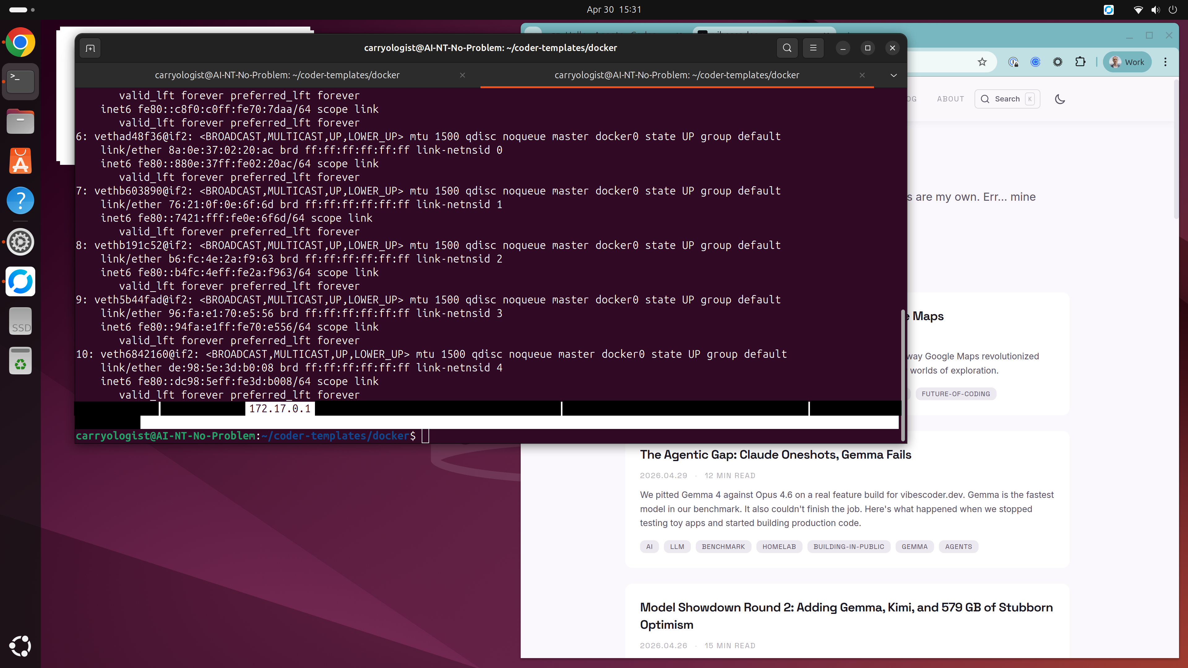 Network interfaces on the workstation — Tailscale mesh, Docker bridge, and host networking all coexisting